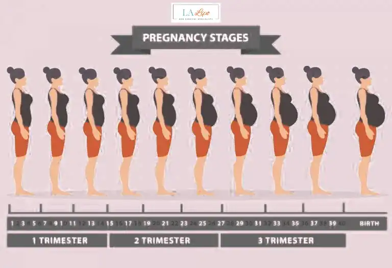 First Trimester (Weeks 1–12): Early Changes You Might Not Notice Stoke-upon-Trent